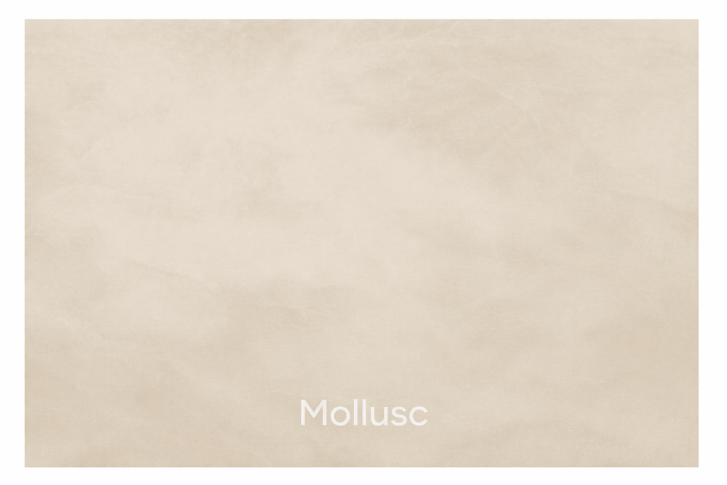 Renocrete 20kg Mollusc