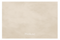 Renocrete 20kg Mollusc