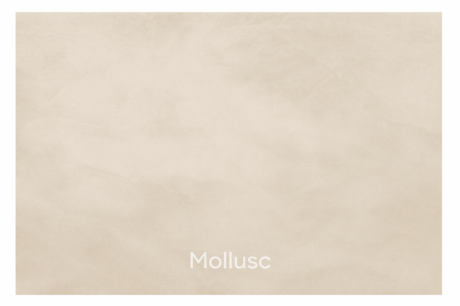 Renocrete 20kg Mollusc