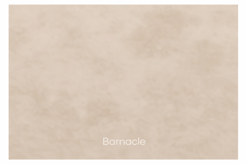 Renocrete 20kg Barnacle