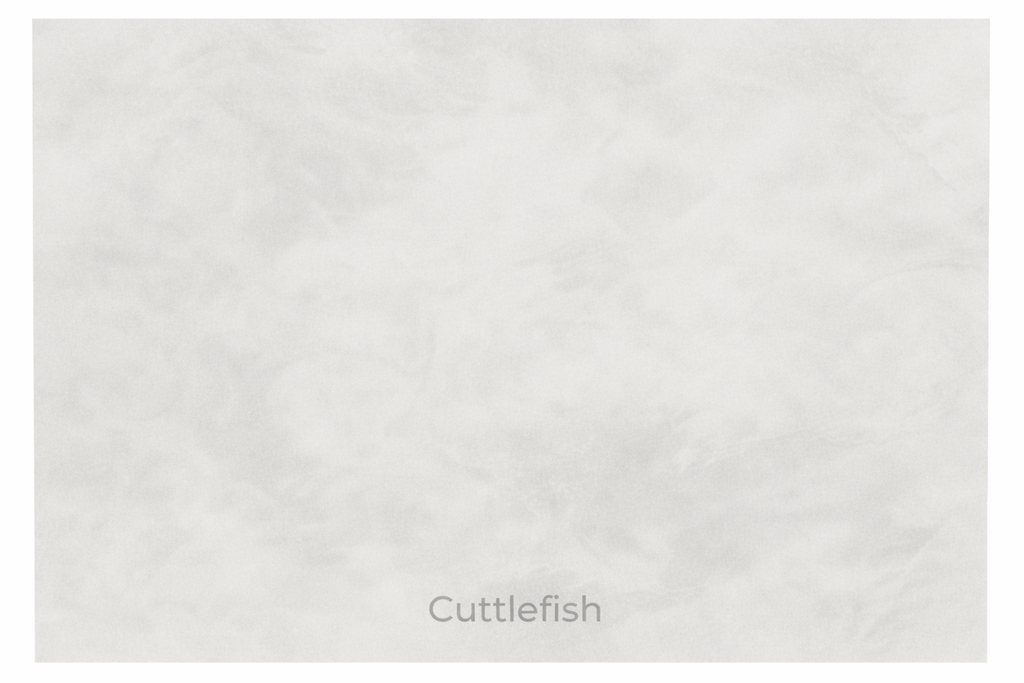 Renocrete 20kg Cuttlefish