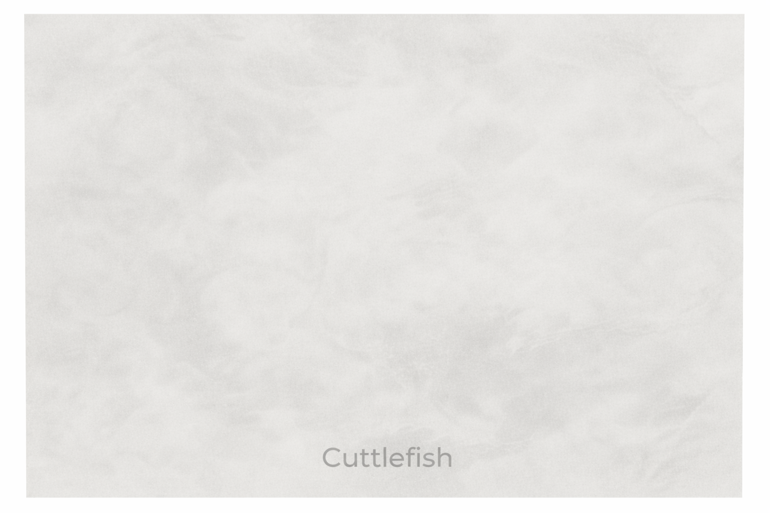 Renocrete 20kg Cuttlefish